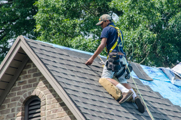 Best Gutter Installation and Roofing  in Jenkins, KY